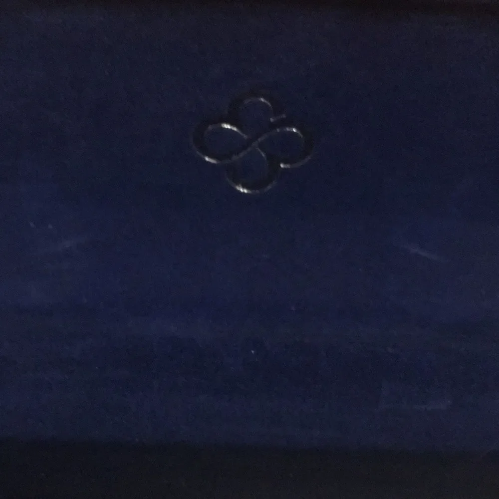Marie Claire glasses/sunglasses case
